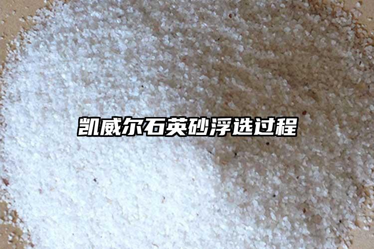 生产厂家芒果视频色板砂浮选过程